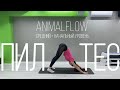 Динамичный ПИЛАТЕС. Тренировка на все тело БЕЗ прыжков. Animal flow. FITLIFE