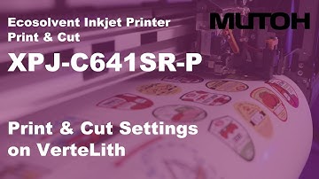 Print & Cut Settings in VerteLith