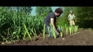 AGRICULTURE : PESTICIDE VS ÉCOLOGIE