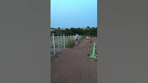 Kate and the Canter