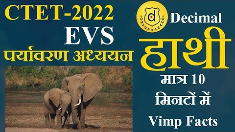 CTET 2022|CTET EVS|Elephant 🐘 important questions|Environment|HTET|UPTET|REET|DSSSB@decimal5804