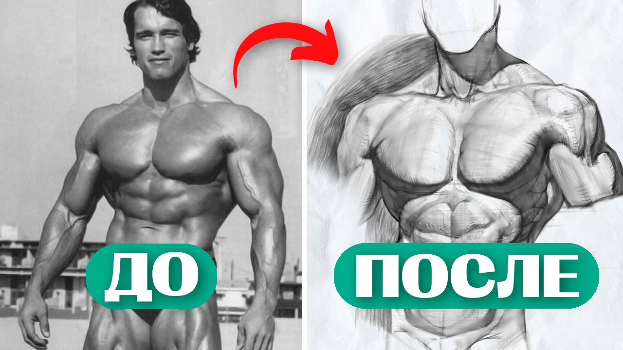 Как рисовать АТЛЕТИЧНУЮ МОДЕЛЬ. Мужская фигура / Skills Up School