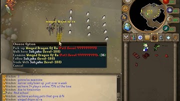 Wisdom-Ps 317 Custom Server || 200+ Customs!