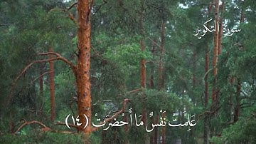 سورة التكوير - مكتوبه - للقارىء عبدالله خياط