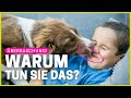 Das ist der wahre Grund, warum dein Hund dich ständig abschlecken will!