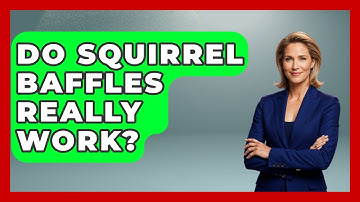 Do Squirrel Baffles Really Work? - Bird Watching Diaries