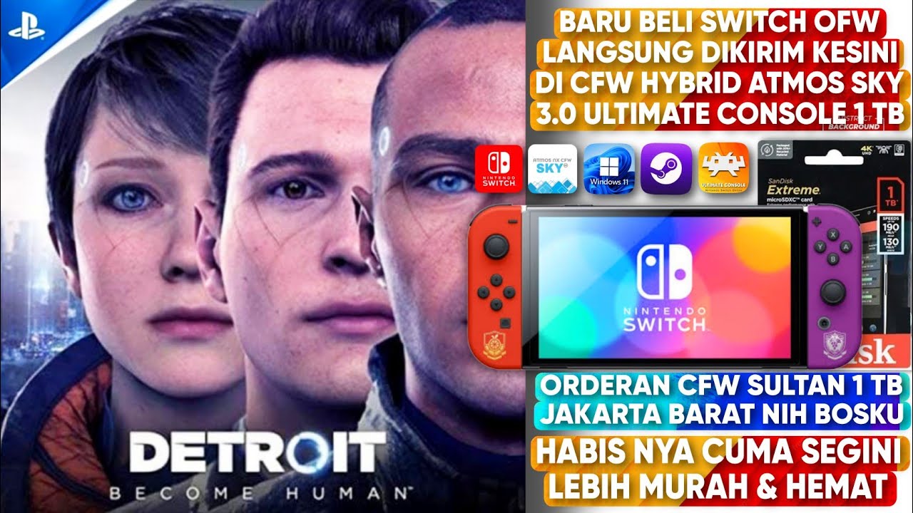 DETROIT BECOME HUMAN NINTENDO SWITCH GAMEPLAY | ORDERAN CFW HYBRID 1TB ...