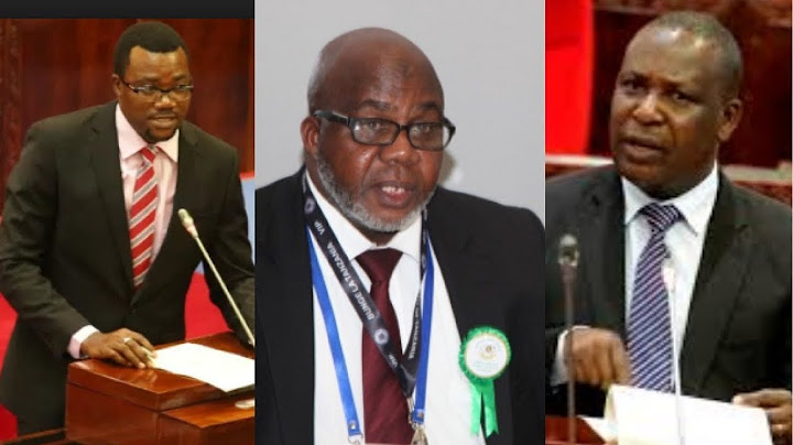 Waziri Mwakyembe,  Mpina, Tizeba Wajibu Ripoti ya CAG