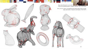 SGP 2020: Hexahedral Mesh Repair via Sum-of-Squares Relaxation