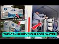 This Machine Traps Everything From Pool Water😳 #poolservice