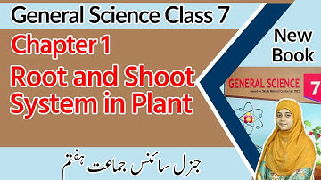 Class 7 Science Chapter 1 -Root and Shoot System in Plant-7 Class General Science Chapter 1 Exercise