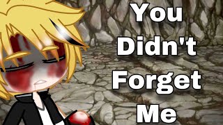 You Didn’t Forget Me|MHA KamiJirou