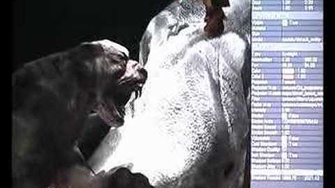 Project Offset Graphics Demo