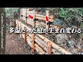 【匠の造園技術】これがすべてを熟知したプロフェショナルの仕事！劣悪な土中環境を完璧なまでに改善！【Japan’s World-Class Landscaping Craftsmanship】