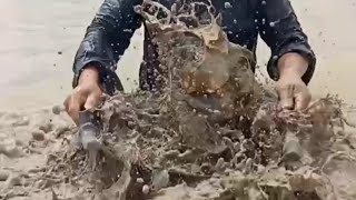 How to find shell in Cambodia #youtubevideo #clams #shell #tiktokviral #shortsfeed