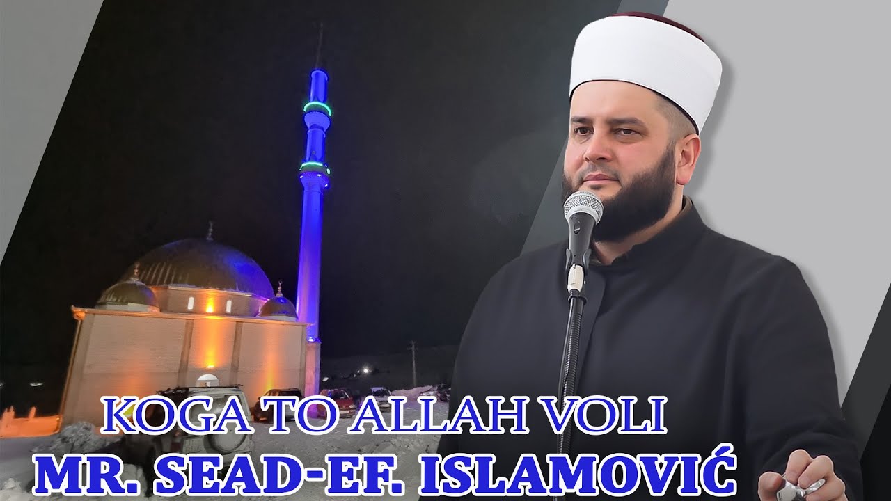 Koga to Allah voli /⁴ᵏ mr. Sead-Ef. Islamović #hadzimehovadzamija
