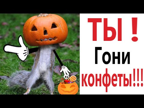 Приколы! ХЭЛЛОУИН ГОНИ КОНФЕТЫ - МЕМЫ!!! Смешные видео от – Доми шоу!