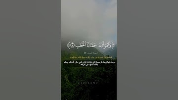 #ياسر_الدوسري #سورة_المسد #القران #تدبر #وعمل