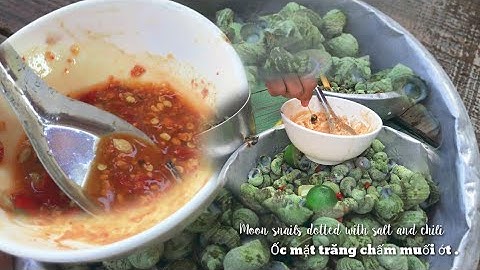 Món Ngon l Ốc Mặt Trăng Chấm Muối Ớt  l Ẩm Thực Và Du Lịch_SinhTV #12
