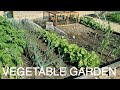 Late June Vegetable Garden Tour #vegetablegarden