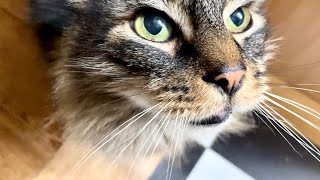 Eric, What Are They Feeding You?