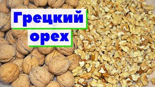 Грецкий орех | Как это сделано