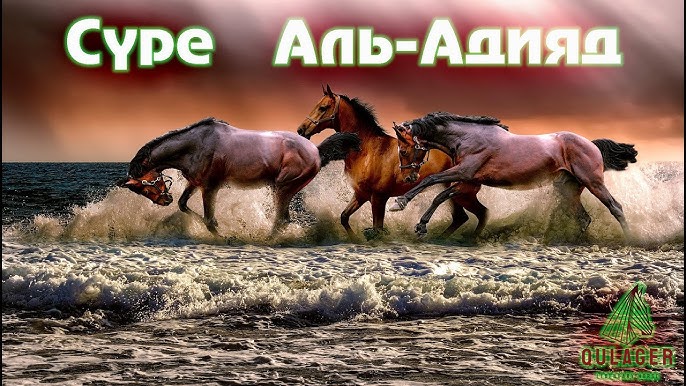 Колпашевода жалаңаш әйелдер Қарғыс атқыр нок ру порно мастурбация