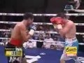 Donnie Nietes vs Mario Rodriguez