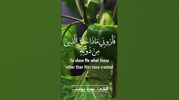 هَٰذَا خَلْقُ ٱللَّهِ  | القارئ حمزة يوسف | تلاوة جميلة