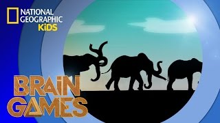 Elephant Trunk Challenge 🐘 | Brain Games screenshot 3