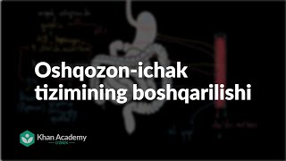 Oshqozon-ichak tizimining boshqarilishi | Ovqat hazm qilish tizimi | Tibbiyot