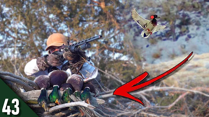 NEVER Done This Before! (Limited Out) | Hunting La...