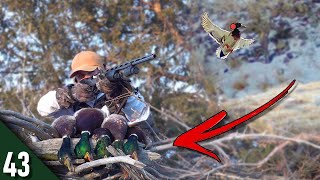 NEVER Done This Before! (Limited Out) | Hunting Late Season MALLARDS