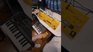 Download Lagu 90s Rave Acid Jungle Jam with JD-08, TD-3, and PO-33 KO! MP3 Download Lagu 90s Rave Acid Jungle Jam with JD-08, TD-3, and PO-33 KO! MP3