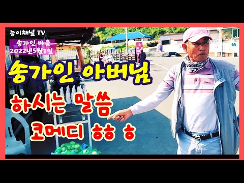 <strong>5월7일</strong> 송가인마을 길 공원 스케치
