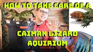Keep A Reptile Aquarium and Water Filter for Caiman Lizards