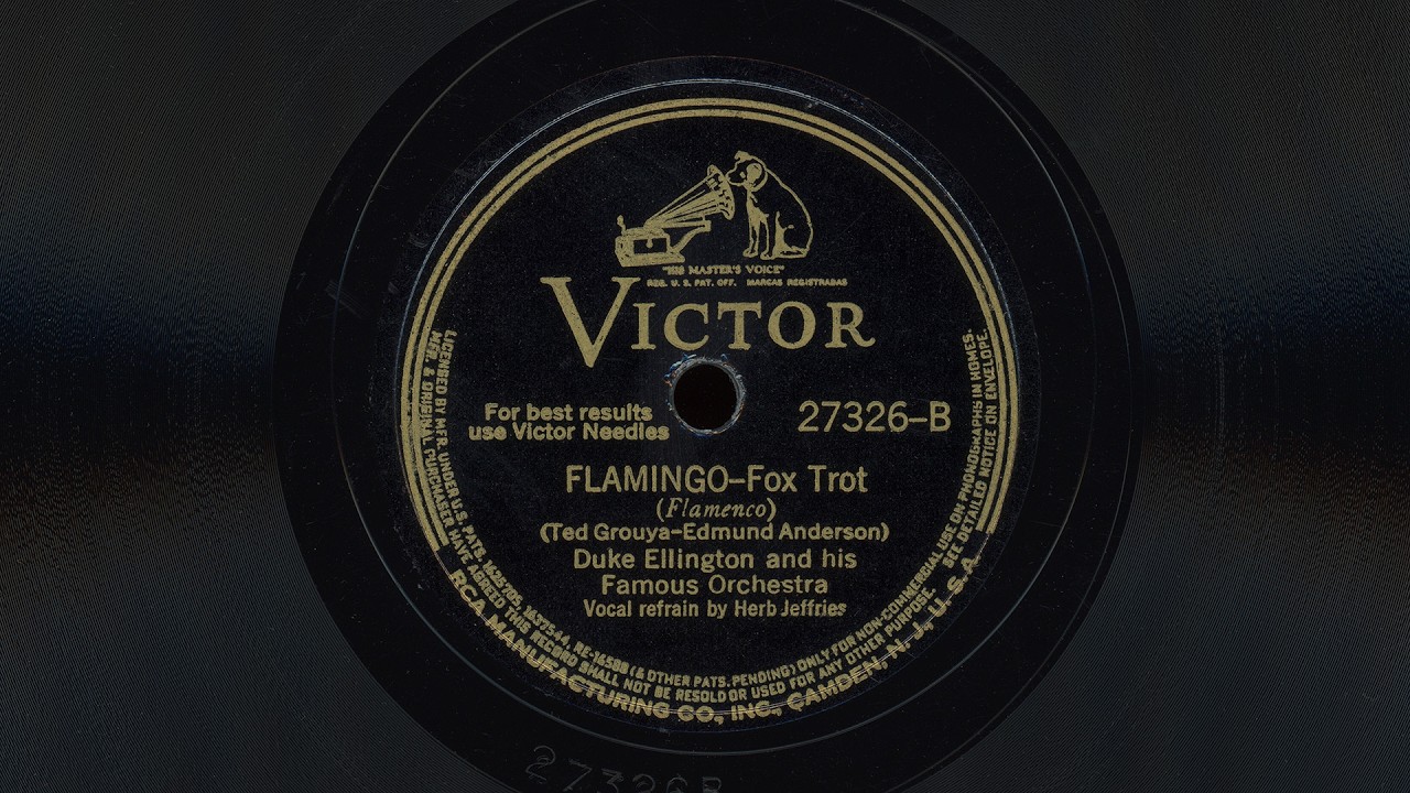 Flamingo