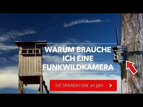 BKL1/® Funk VS Bissanzeiger 2er Set Snag Bars Bissmelder Beissalarm
