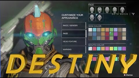 Destiny BETA - Character Customization