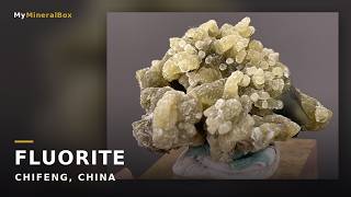 Video preview: Phantom Fluorite with Mica – Chifeng, Inner Mongolia, China | Natural Mineral Specimen