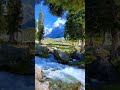 Chandani Oh Meri Chandani song #lovelysong #viral #shorts #elvishyadav #jattprabhjot #views #kashmir