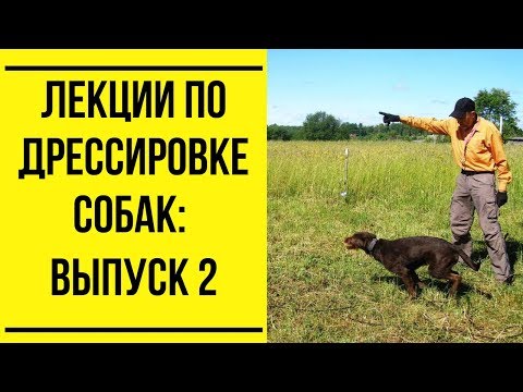 Лекции по дрессировке собак. Выпуск 2