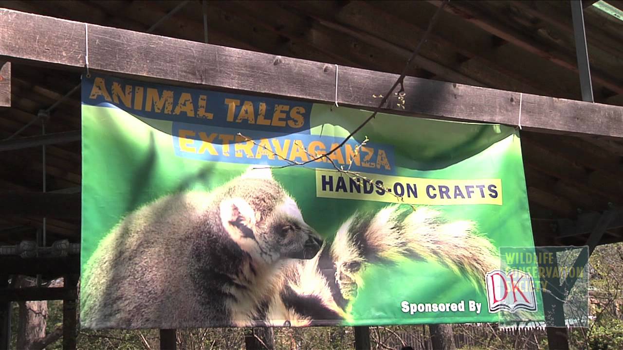 time out chicago TONY Animal Tales
