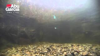 Abu Garcia Tormentor swimming action