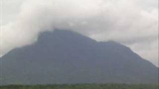 Gingerbread  Kenangan Di Harijadimu