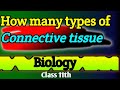 How many types of Connective Tissue ?? Connective tissue ke prakar by Babali mam class11th biology