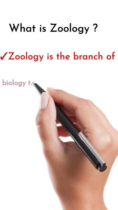 What Is Zoology Definition Of Zoology YouTube what-is-zoology-definition-of-zoology-youtube