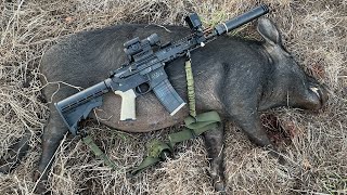An Eventful Morning Wild Hog Hunt with the 300 Blackout