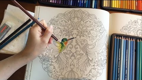 Secret Garden | The Hummingbird (Part 2/5)