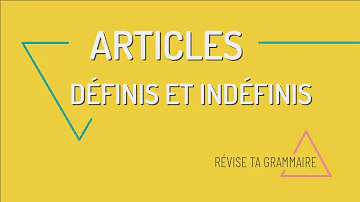 Quels sont les articles définis ?